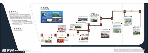 海口软件开发在石油公司发展历程中的关键作用