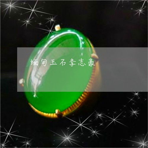 缅甸玉石的文化财富 珠宝首饰零售的机遇与挑战——李志豪会长专访