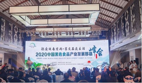 2020中国黑色食品产业发展黟县峰会成功举办 推动产业创新与数字化转型