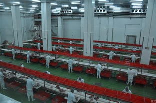 一个项目能否支撑罗牛山股价？海口软件开发成关键焦点